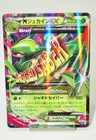 M Sceptile EX