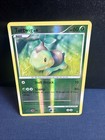 Turtwig