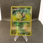 Turtwig