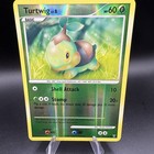 Turtwig