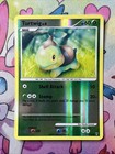 Turtwig