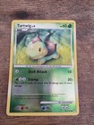 Turtwig