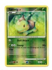 Turtwig