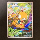 Scraggy