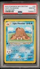 Light Piloswine