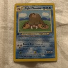 Light Piloswine