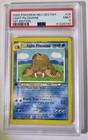 Light Piloswine