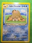 Light Piloswine