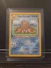 Light Piloswine