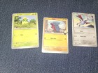 Team Rocket's Spidops