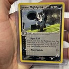 Mightyena