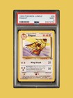 Pidgeot