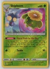 Skiploom