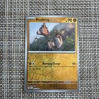 Mudbray