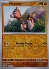 Mudbray