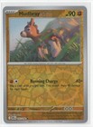 Mudbray