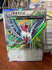 Swellow
