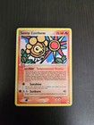 Sunny Castform