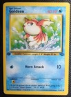 Goldeen