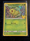 Chikorita