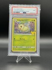 Chikorita