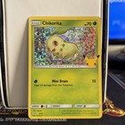 Chikorita