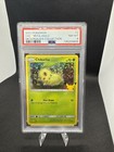 Chikorita