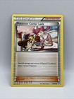 Pokemon Center Lady