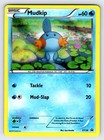 Mudkip