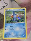 Mudkip