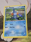 Mudkip