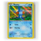 Mudkip