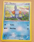 Mudkip
