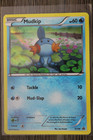 Mudkip