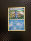 Mudkip