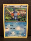 Mudkip