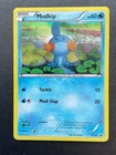Mudkip
