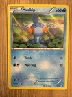 Mudkip