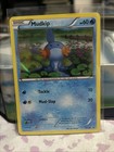 Mudkip