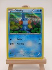 Mudkip