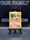 Brock's Vulpix