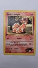 Brock's Vulpix