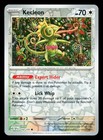 Kecleon