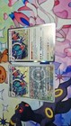 Noivern