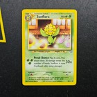 Sunflora