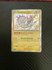 Pachirisu
