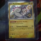 Pachirisu