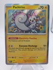 Pachirisu