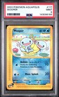 Wooper