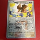 Pidgey